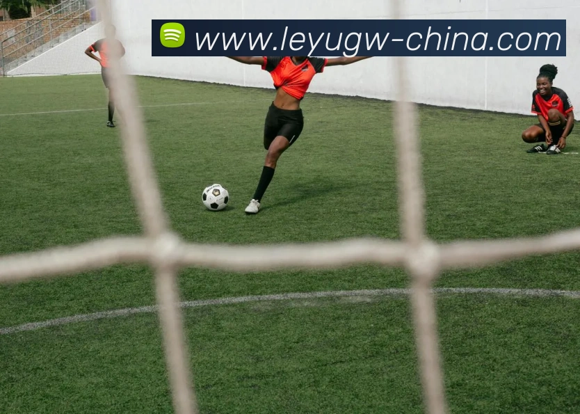 乐鱼官网：全球职业竞技赛事资讯与实时数据交互门户平台生态图